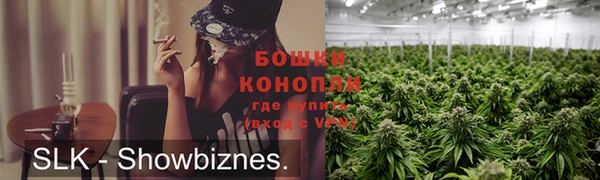ПСИЛОЦИБИНОВЫЕ ГРИБЫ Балахна