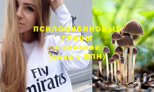 ПСИЛОЦИБИНОВЫЕ ГРИБЫ Балахна