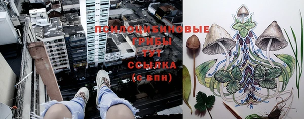 ПСИЛОЦИБИНОВЫЕ ГРИБЫ Балахна